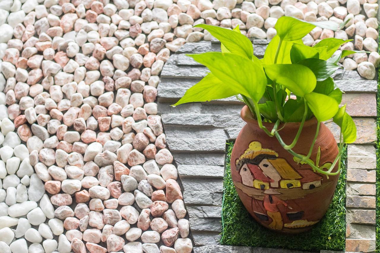 Bean Grass Homestay Hoi An Exterior foto