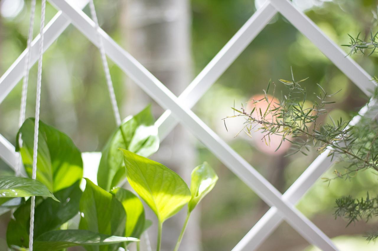 Bean Grass Homestay Hoi An Exterior foto